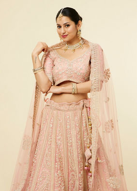 alt message - Mohey Women Light Pink Imperial Paisley Patterned Lehenga image number 1